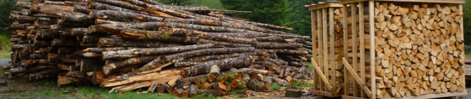 Bontrager's Firewood         (360) 913-8077